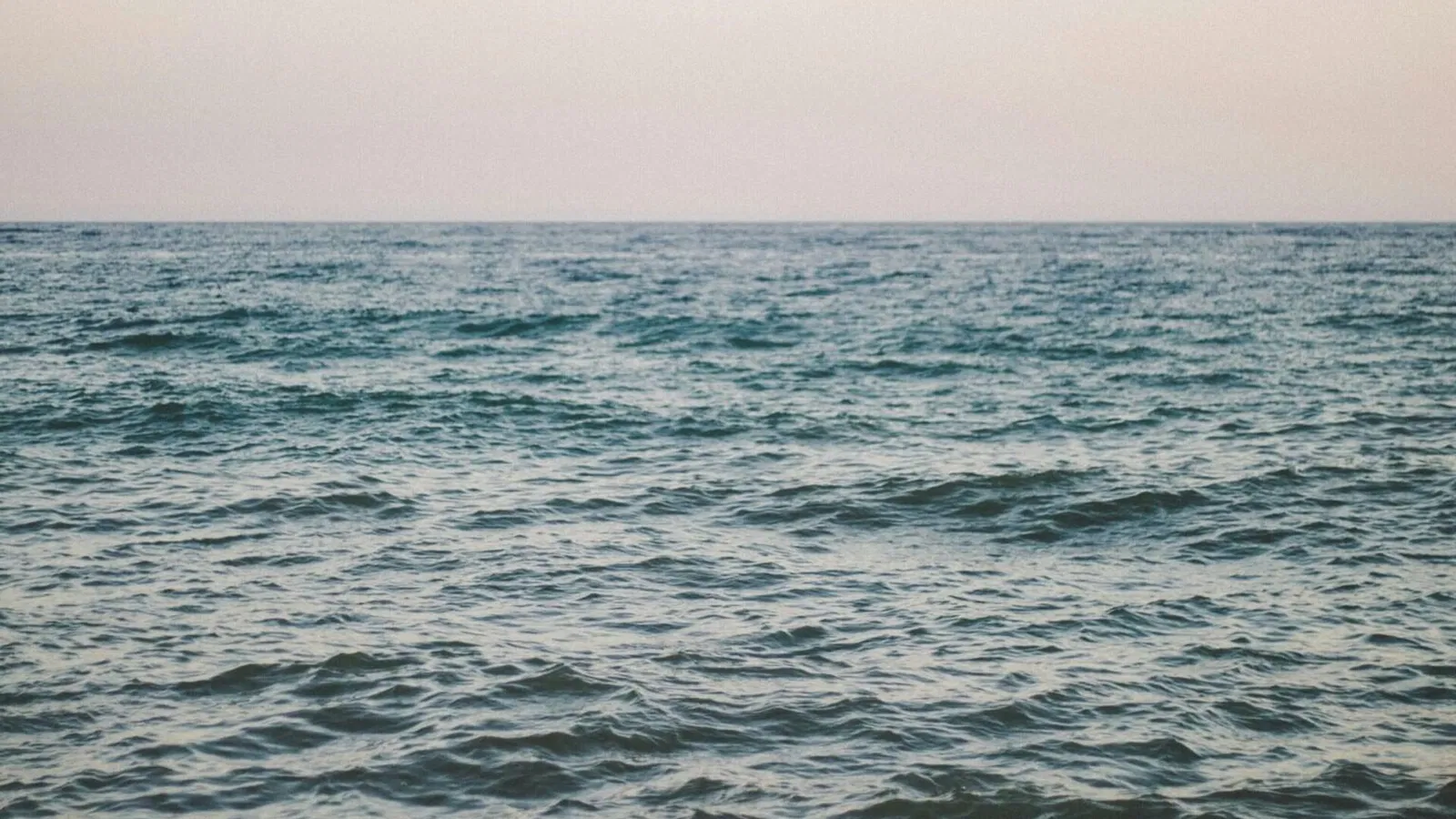 بحر يغيره الاحترار: كيف تغزو العوالق الاستوائية المتوسط وتعيد تشكيل نظامه البيئي؟