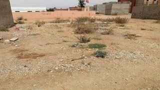 الداخلية تفرض قواعد جديدة على رسم الأراضي غير المبنية، تسعيرات وغرامات تحت المجهر