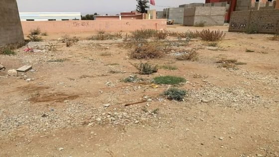 الداخلية تفرض قواعد جديدة على رسم الأراضي غير المبنية، تسعيرات وغرامات تحت المجهر