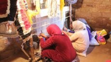 نساء داخل تعاونية نسوية لإنتاج زيت الأركان بالمغرب، في نموذج لتمكين المرأة اقتصادياً عبر المشاريع المدرة للدخل.