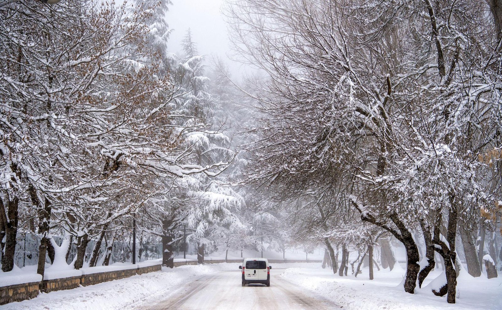 نشرة إنذارية بالمغرب.. ثلوج كثيفة تصل إلى 40 سم تضرب هذه المناطق ابتداء من الثلاثاء