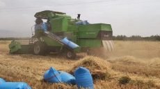 موجات الحر الغير مسبوقة تُربك المواسم الفلاحية وتعمّق الخسائر