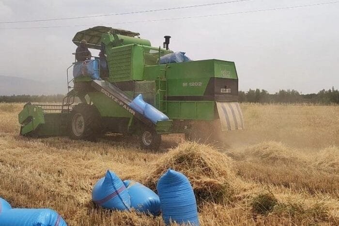 تقرير أممي: موجات الحر والجفاف يفاقمان هشاشة الفلاحة بالمغرب ويهددان الأمن الغذائي