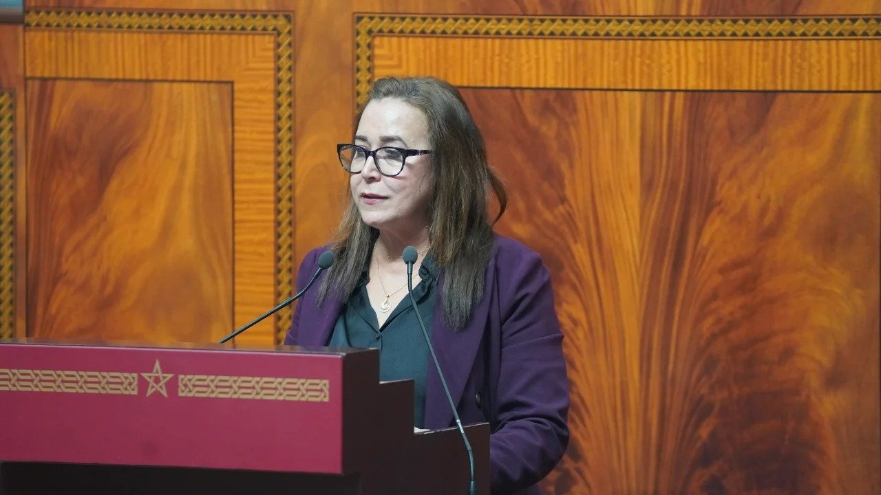 التامني تهاجم حصيلة الحكومة وتصفها بـ”دعاية وردية”