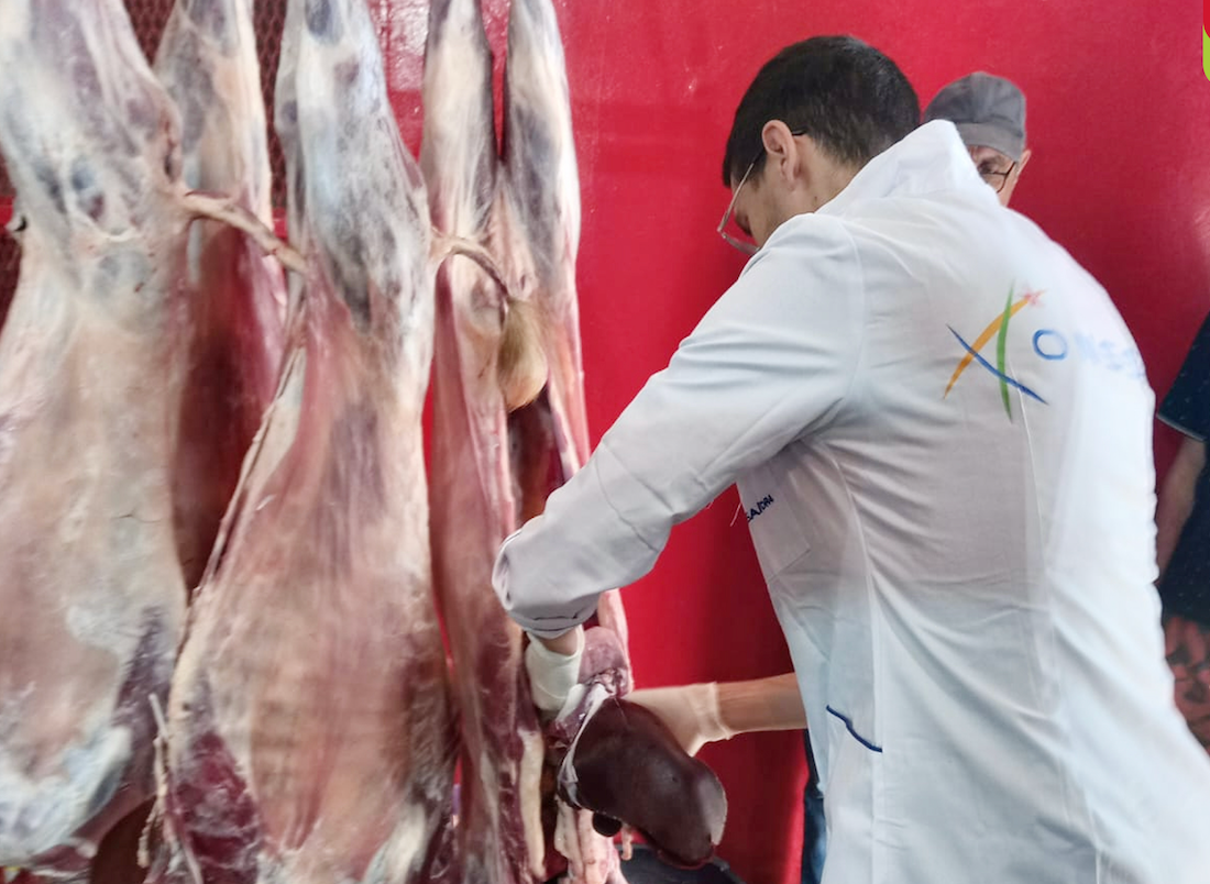 3750 فحصاً و350 زيارة منزلية.. تفاصيل حصيلة “أونسا” خلال العيد