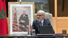 الجواهري: الدعم العمومي ضرورة ظرفية والنمو المستدام مفتاح التشغيل