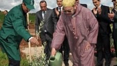 الفاو: الفلاحة المغربية أصبحت نموذجا قاريا بفضل الرؤية الملكية واستراتيجية الجيل الأخضر