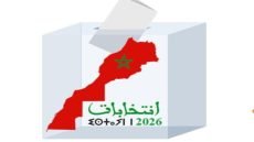 الانتخابات التشريعية.. أكثر من 7 آلاف مرشح يتنافسون على مقاعد البرلمان