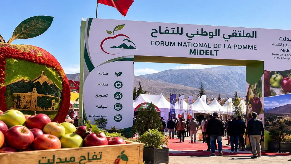 ملتقى التفاح بميدلت 2026: عصب التنمية  وركيزة العدالة الاجتماعية  في أعالي الأطلس